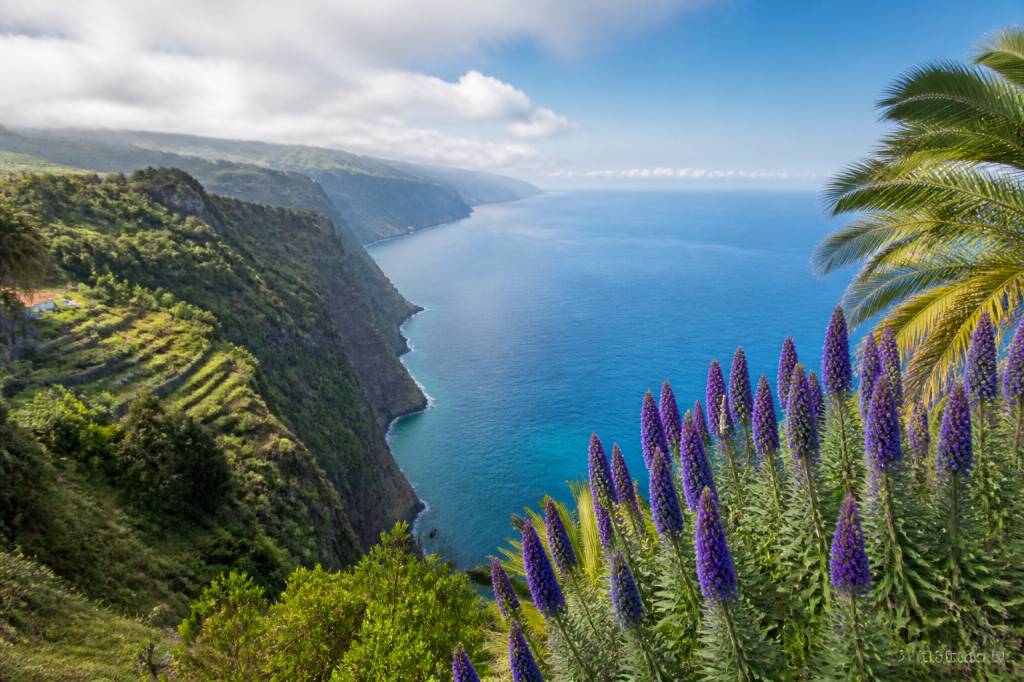 Karte Madeira sehenswürdigkeiten: die schönsten Ausflugsziele auf der Insel